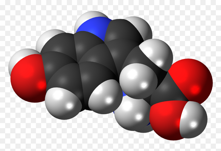 Amino Acid Space Filling Model, HD Png Download - atoms png