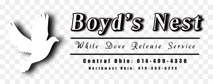 Calligraphy, HD Png Download - white doves png