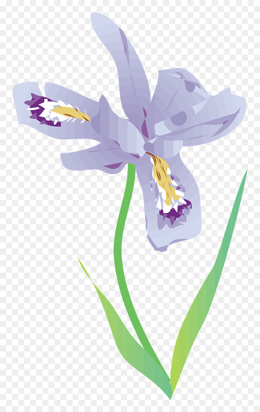 Clip Art, HD Png Download - iris flower png