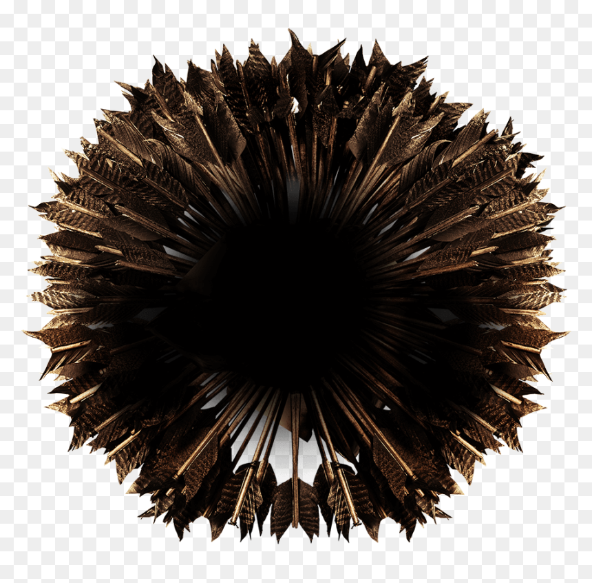 Sea Urchin , Png Download - Symmetry, Transparent Png - sea urchin png