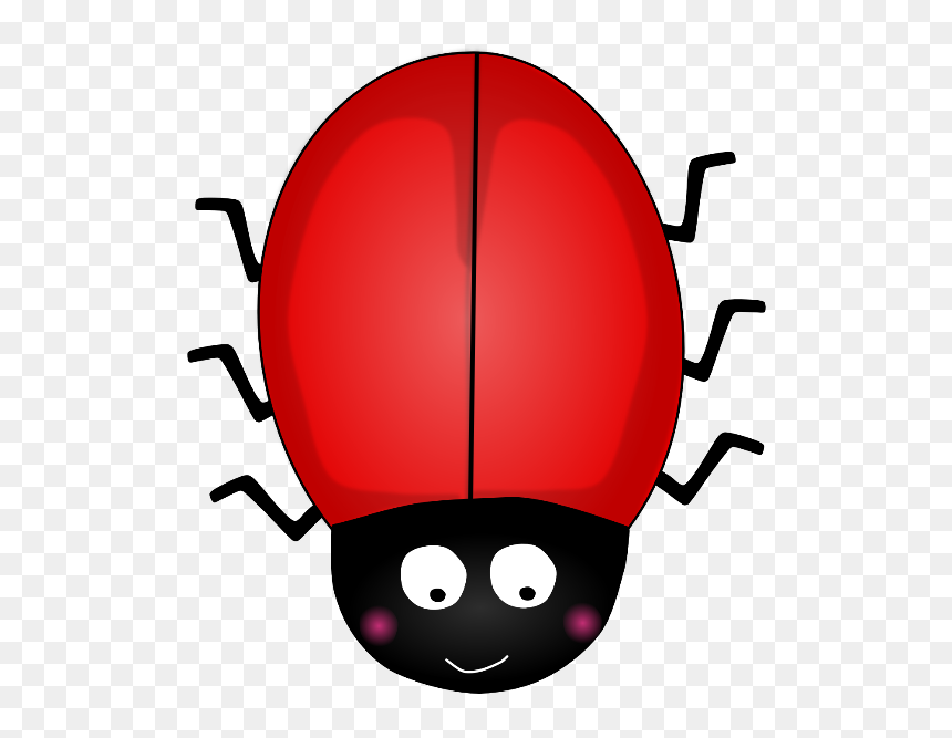 Clip Transparent Ladybird Spots Bonds Interactive Activity - Ladybird No Spots Clipart, HD Png Download - spots png