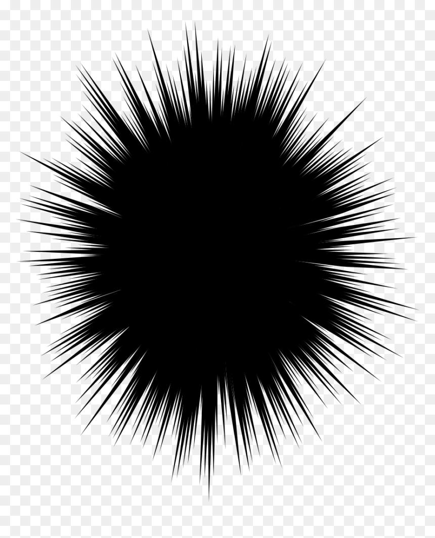 Transparent Sea Urchin Clipart - Clip Art, HD Png Download - sea urchin png