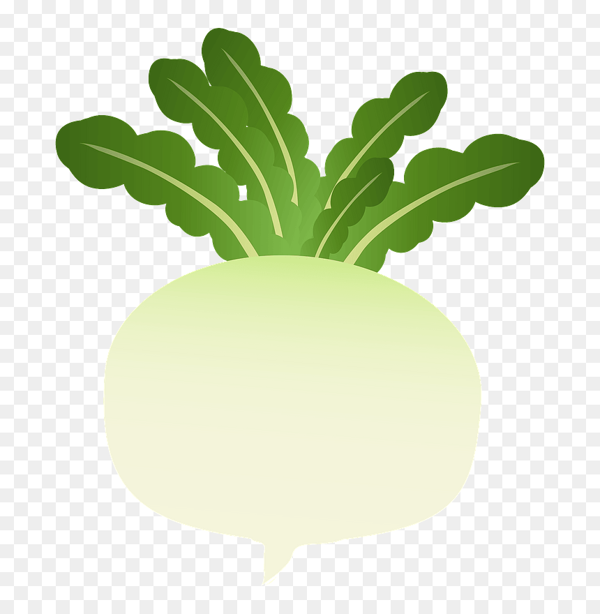 Turnip Vegetable Clipart - Lettuce, HD Png Download - turnip png