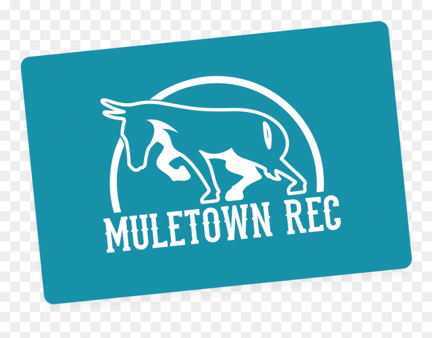 Mule , Png Download - Stallion, Transparent Png - mule png