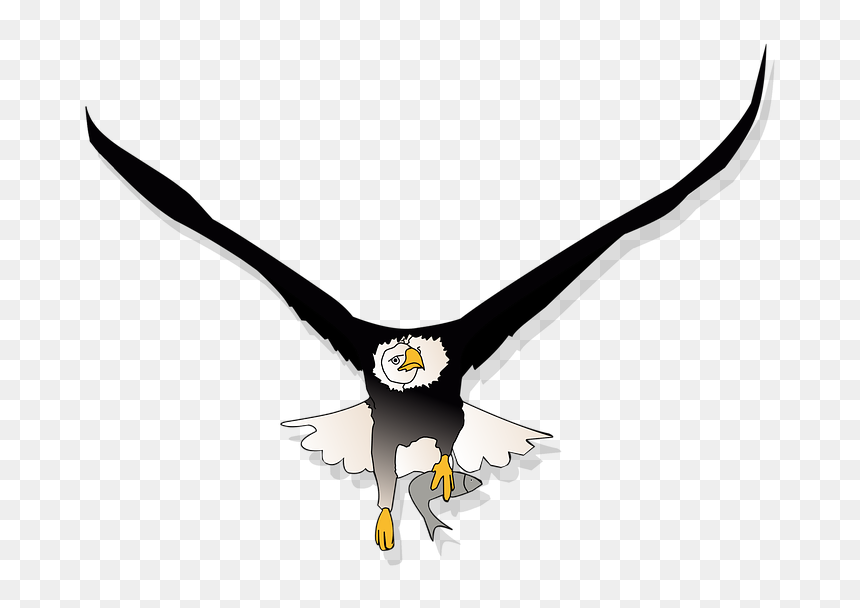 Bald Eagle Flying Png , Png Download - Cartoon Flying Eagle Png, Transparent Png - eagle flying png