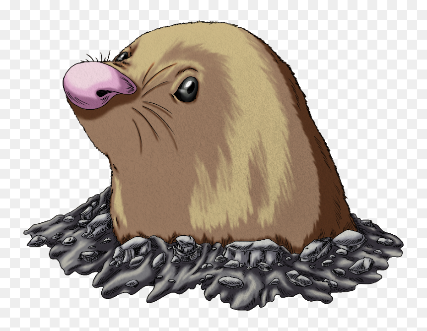 California Sea Lion , Png Download - California Sea Lion, Transparent Png - sea lion png