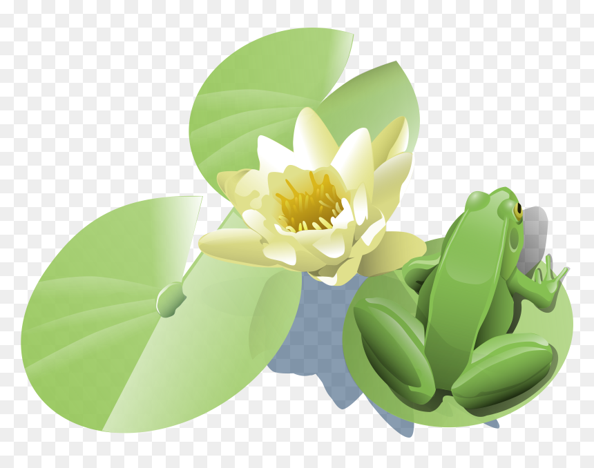 Frog On A Lily Pad Clip Arts - Frog Lily Pad Clip Art, HD Png Download - lilly pad png