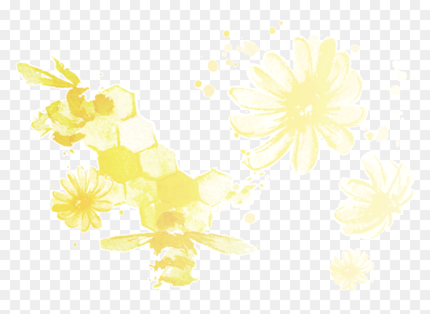 Chrysanths, HD Png Download - chamomile png