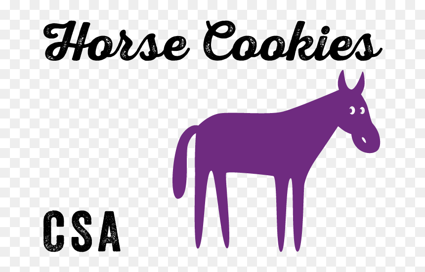Mule Clip Art - Mane, HD Png Download - mule png