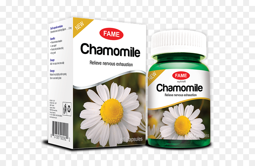 Chamomile - Fame Product In Myanmar, HD Png Download - chamomile png