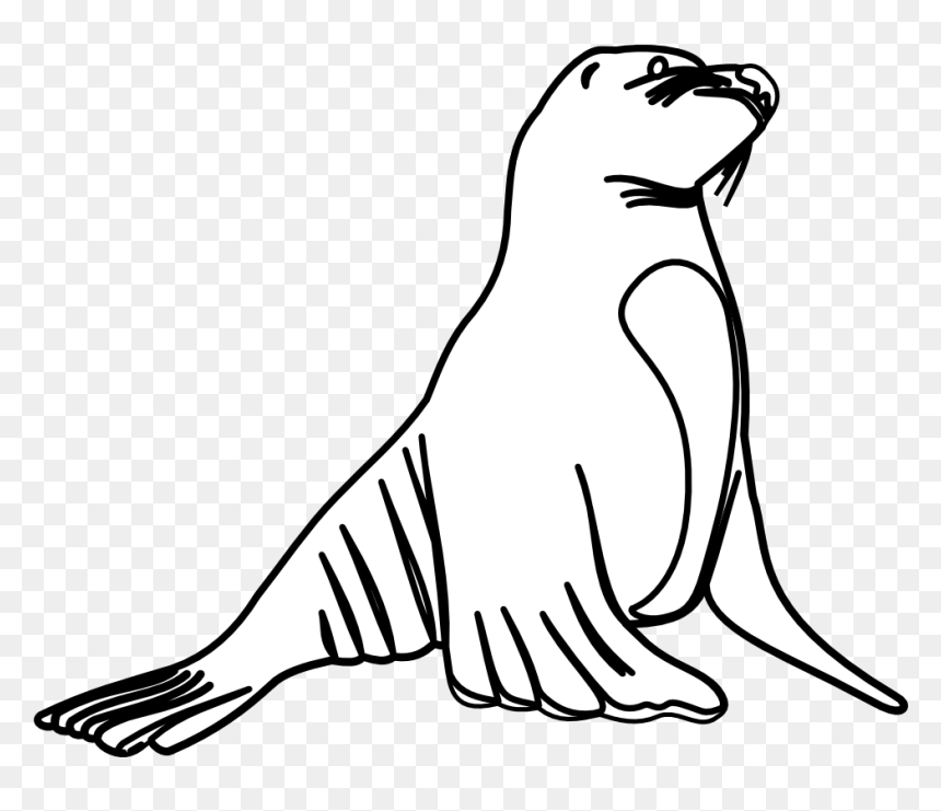 Sea Lion Clip Art Free - Sea Lion Black And White Clipart, HD Png Download - sea lion png
