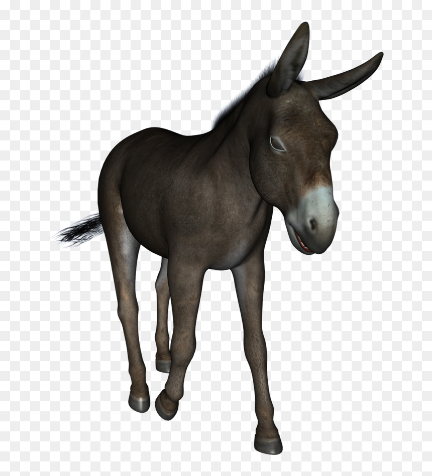 Transparent Cute Animals Png - You Re An Ass Sign, Png Download - cute animals png