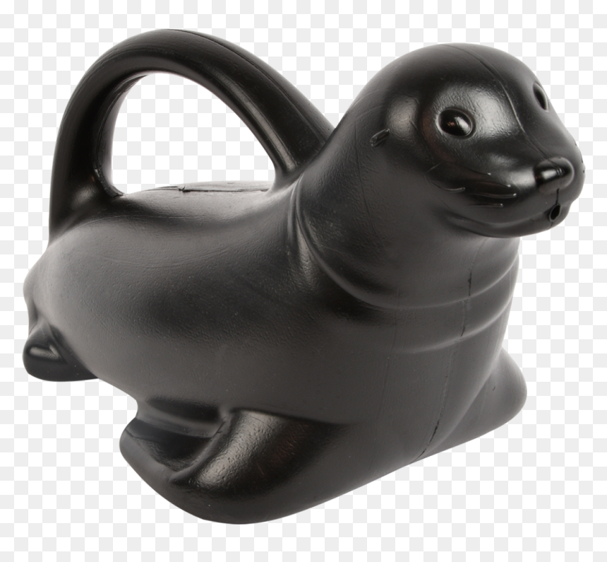 Watering Can Sea Lion, HD Png Download - sea lion png