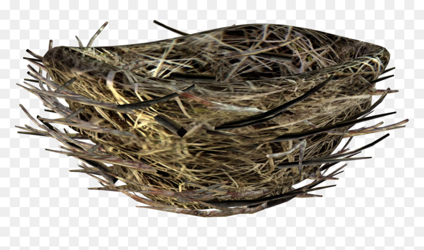 Bird Nest Transparent Background, HD Png Download - bird nest png