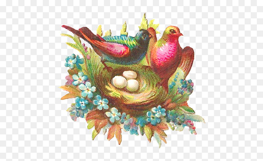 Birds, HD Png Download - bird nest png