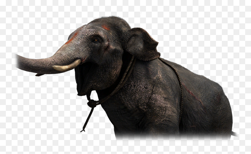Far Cry Wiki - Far Cry 4 Thick Skin, HD Png Download - far cry 4 png