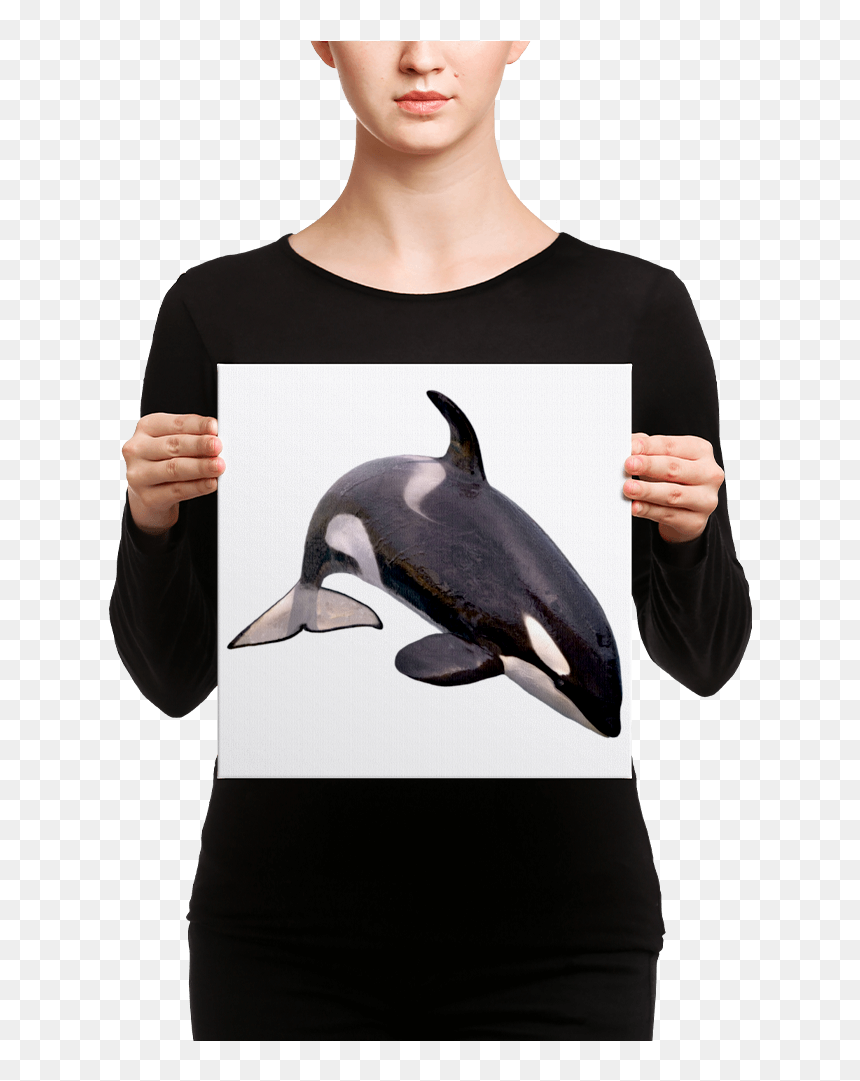 Transparent Killer Whale Png - Acuarela Cuadros Flor De Loto, Png Download - killer whale png
