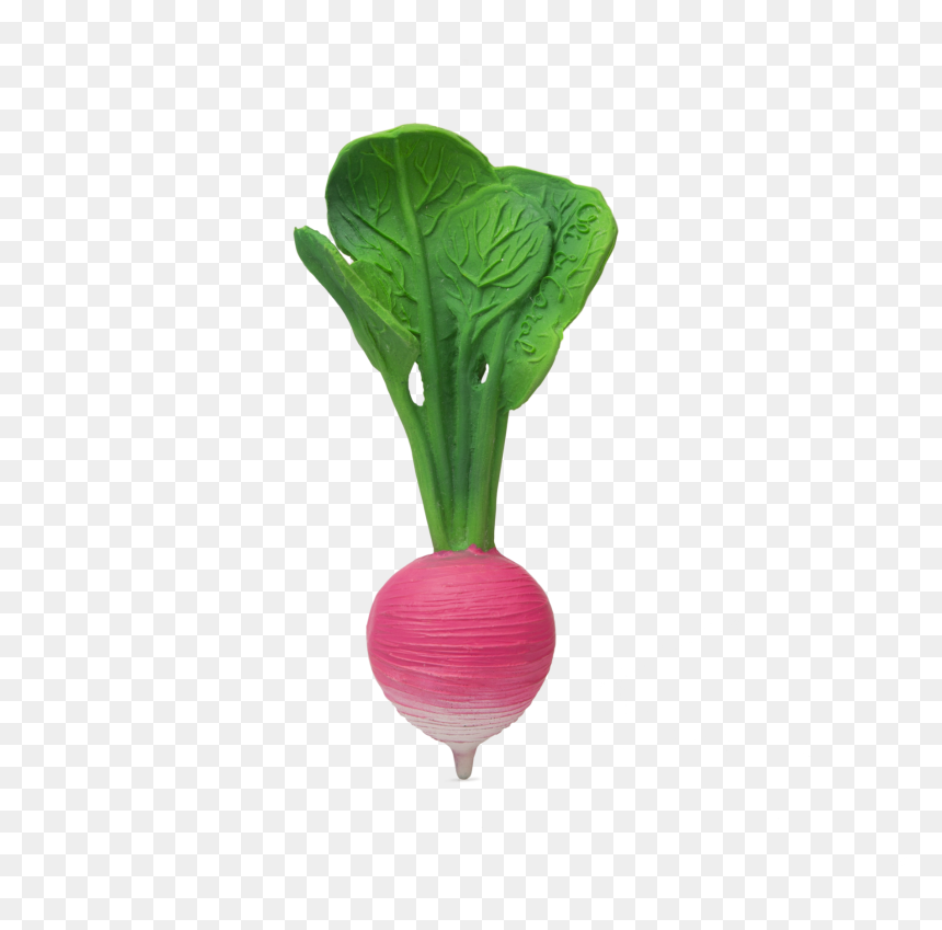 Infant Teething Toy - Oli Carol Radijs, HD Png Download - turnip png