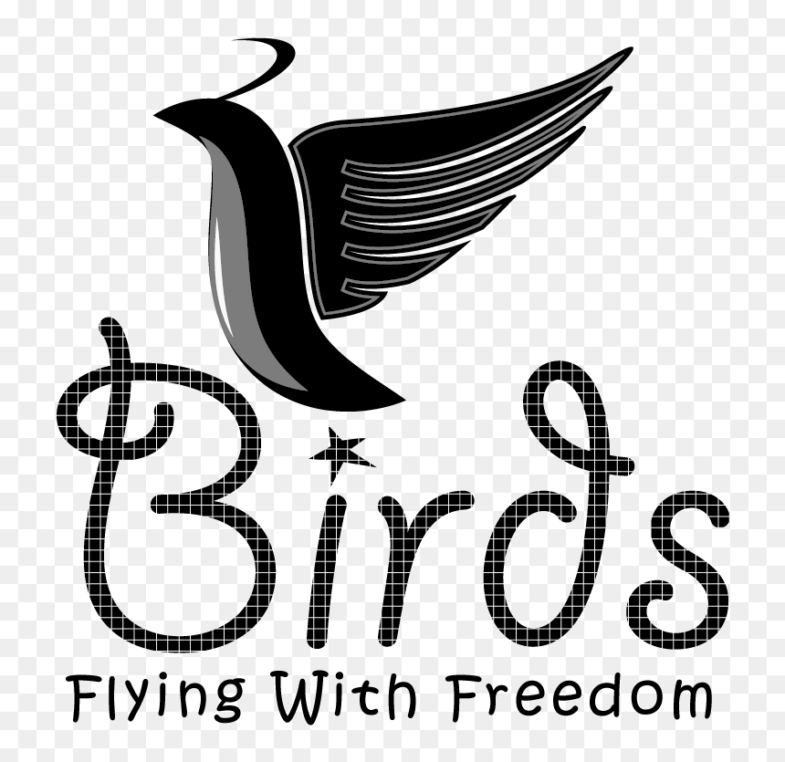 Birds - 2redbeans, HD Png Download - white birds png