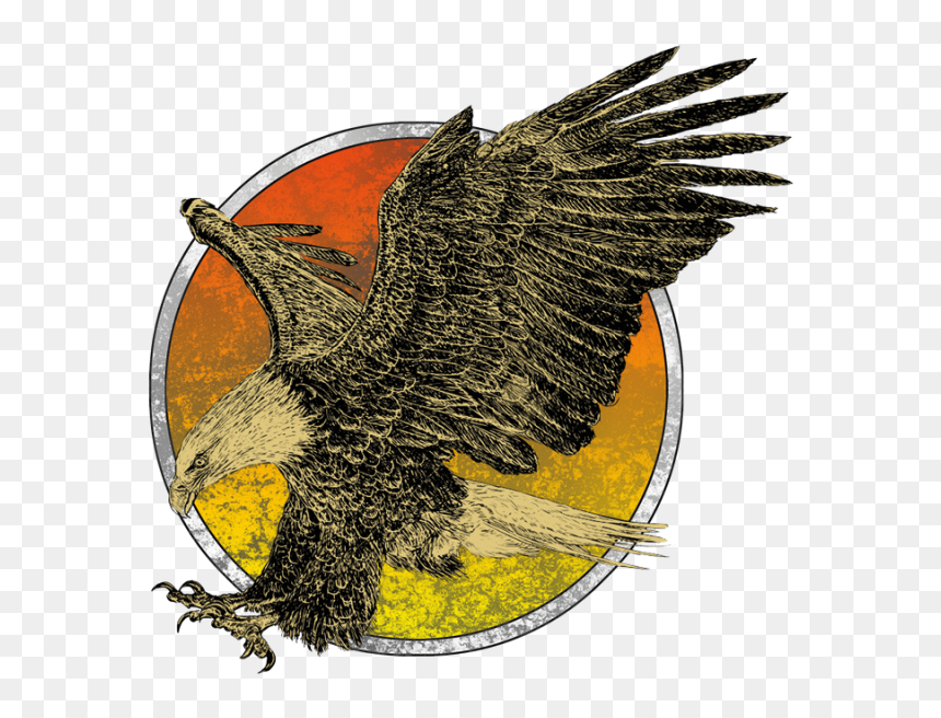 Eagle , Png Download - Drawn Bald Eagle, Transparent Png - eagle flying png