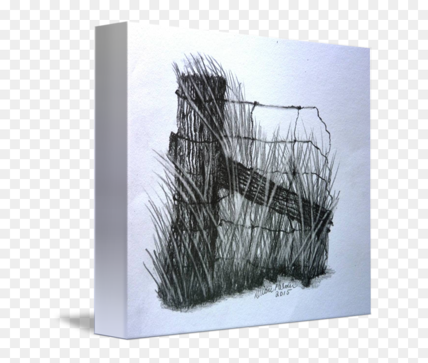 Branch Drawing Art, HD Png Download - farm fence png