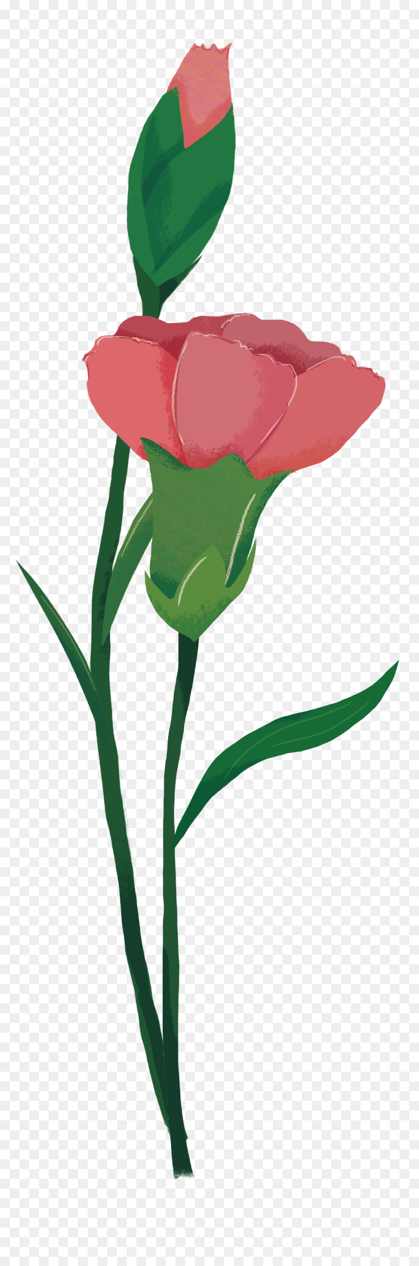 Transparent Flower Spray Clipart - Clip Art, HD Png Download - iris flower png