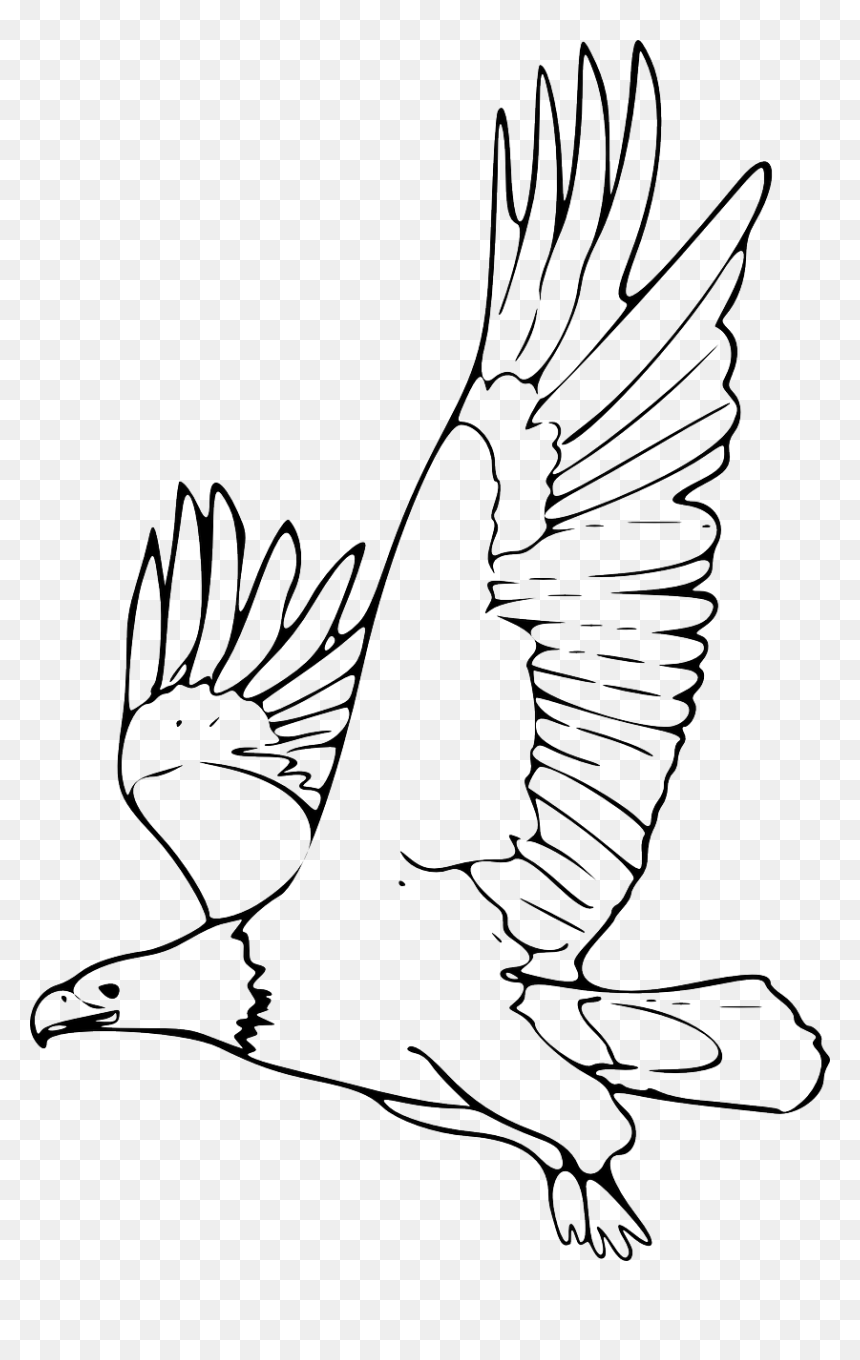 Eagle Black And White Clipart, HD Png Download - eagle flying png