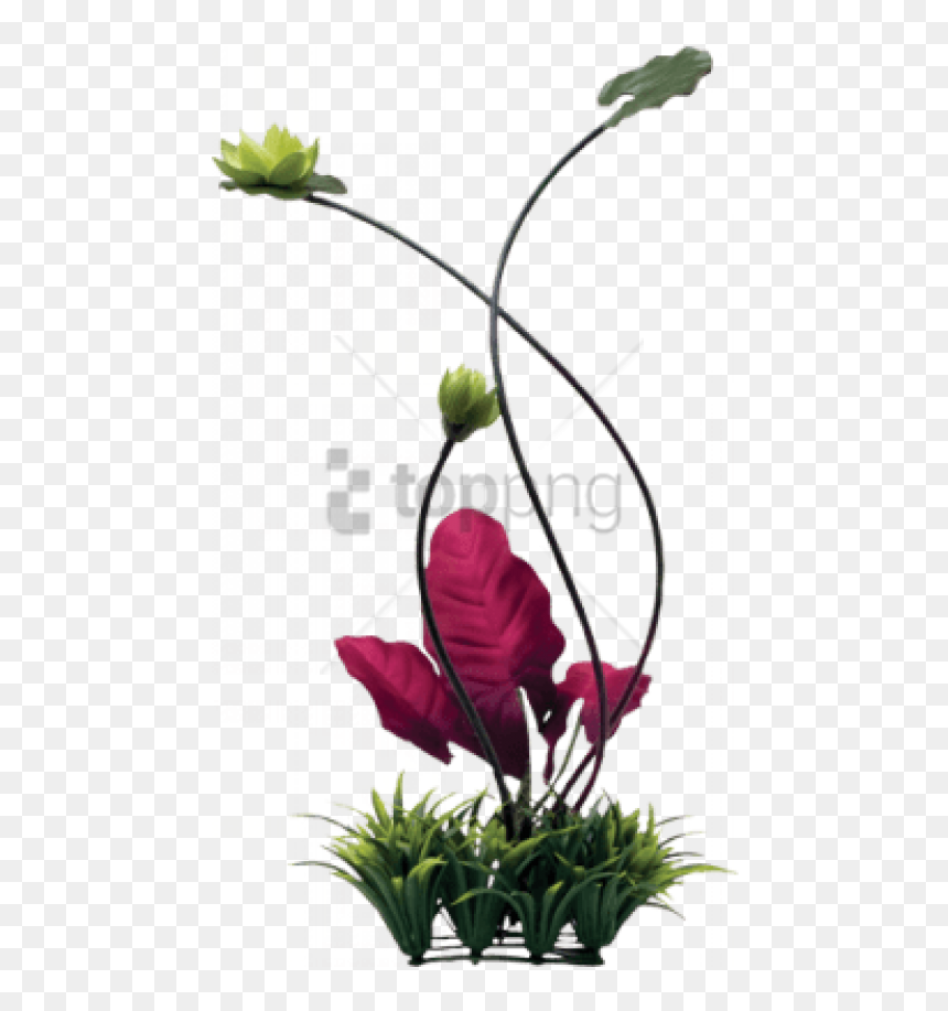 Free Png Fluval Chi Lily Pad And Plant Grass Ornament - Fluval Chi Aquarium, Transparent Png - lilly pad png