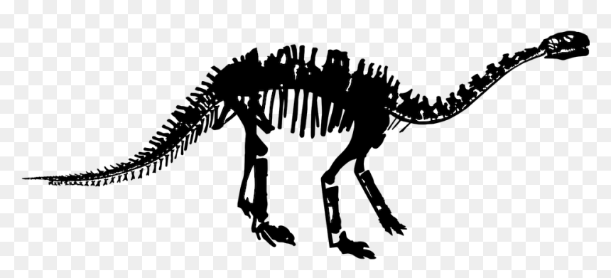 Tyrannosaurus, HD Png Download - dinosaur bones png