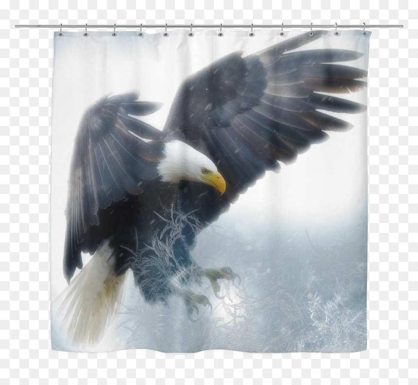 Transparent Bald Eagle Flying Png - 7 Grandfather Teachings Eagle, Png Download - eagle flying png
