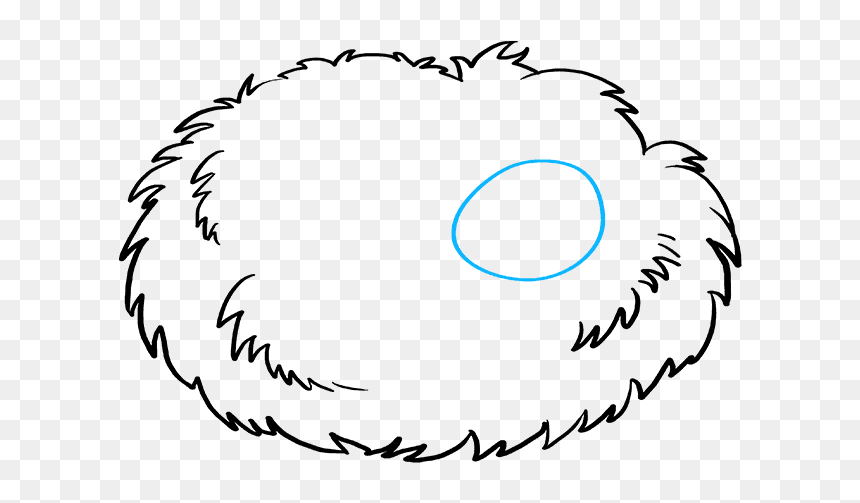 How To Draw Bird Nest - Draw A Bird Nest, HD Png Download - bird nest png