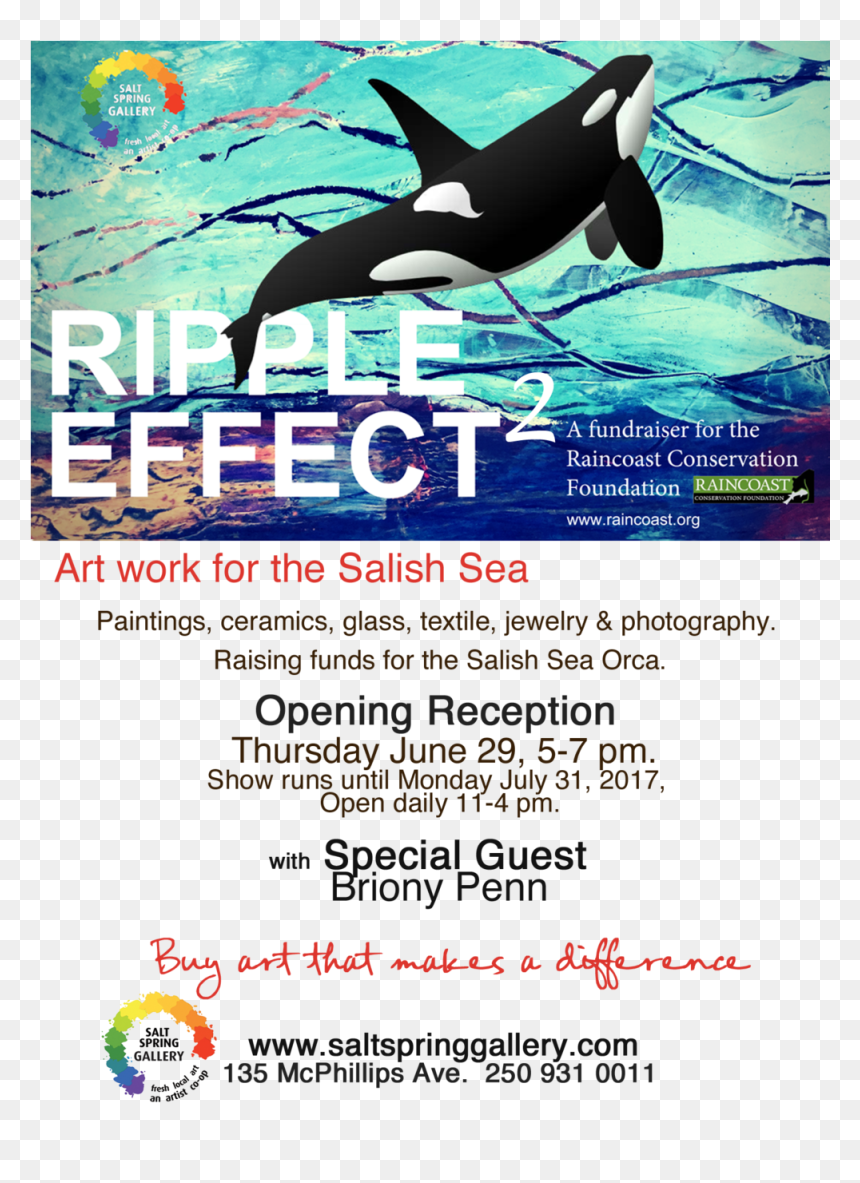 Art Work For The Salish Sea - Killer Whale, HD Png Download - killer whale png