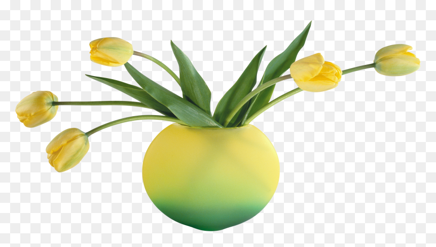 Vase Png Image Free Download - Vase, Transparent Png - flowers in vase png