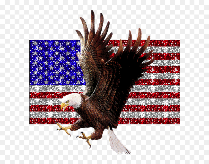 Transparent Bald Eagle Flying Png - 4th Of July Cool, Png Download - eagle flying png