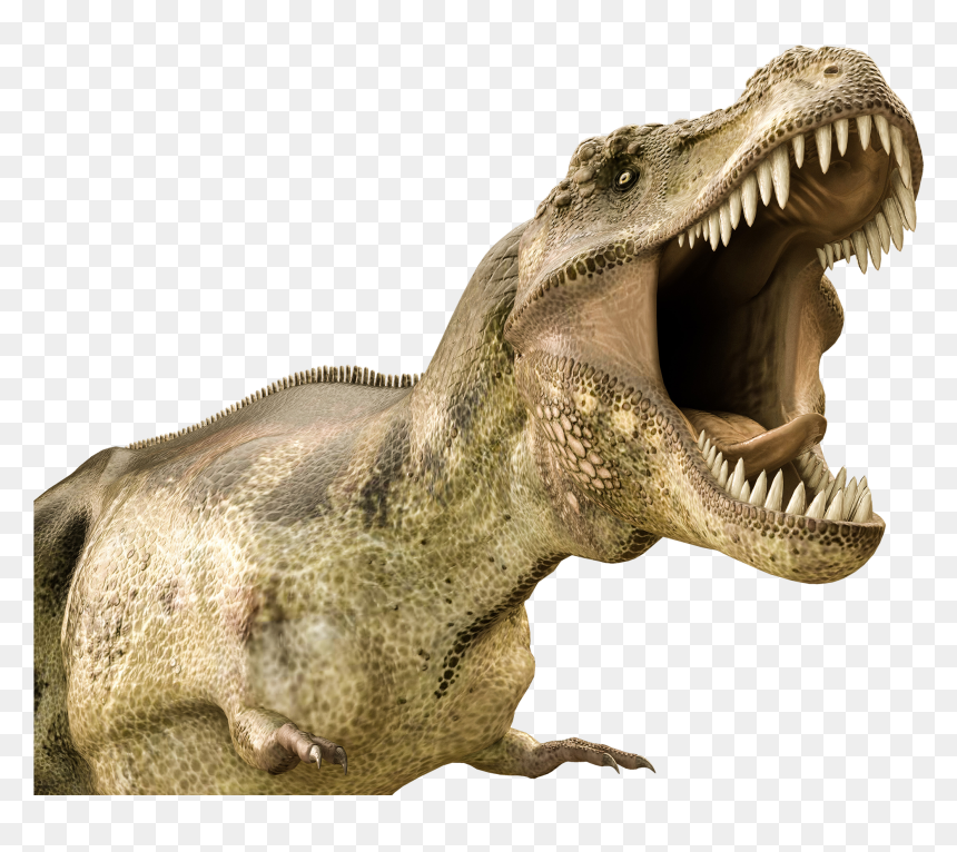 Dinosaur Jaws Transparent, HD Png Download - dinosaur bones png