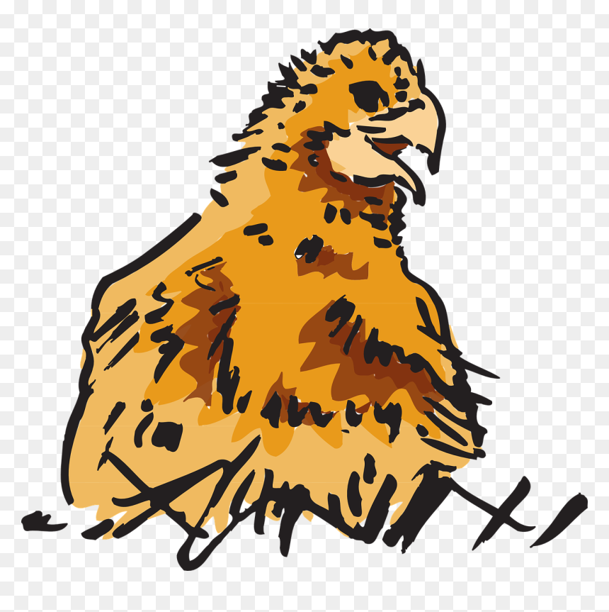 Animals Clipart, HD Png Download - baby lion png