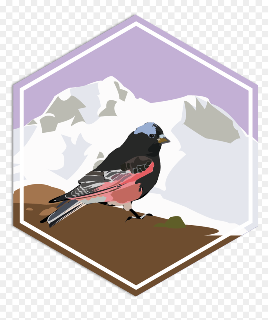 Blrfpin - Trustradius Top Rated, HD Png Download - bird nest png