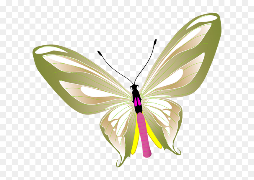 10 Temmuz 2018, - Butterflies, HD Png Download - butterfly png clipart