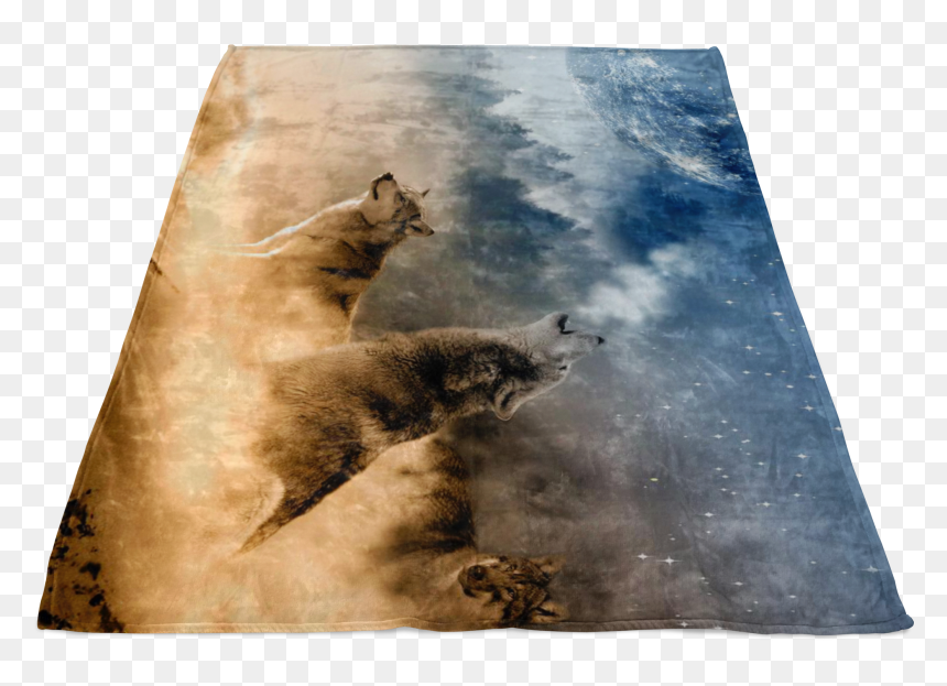 Transparent Throw Blanket Png - Punxsutawney Phil, Png Download - sea lion png