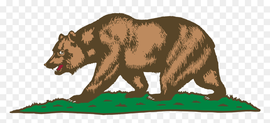 California Grizzly Bear Drawing, HD Png Download - brown bear png