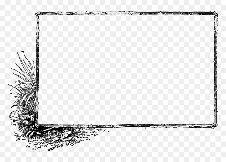 Rejected Stamp Clipart Plant - Line Art, HD Png Download - denied stamp png