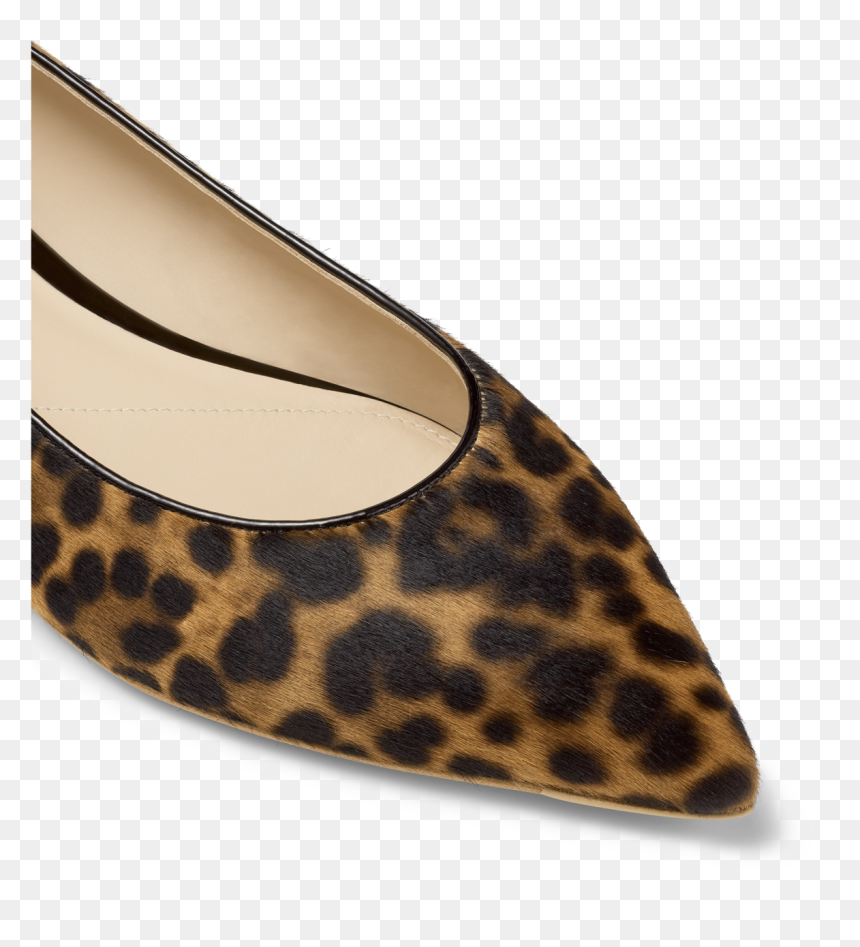 Ballet Flat, HD Png Download - ballerina shoes png