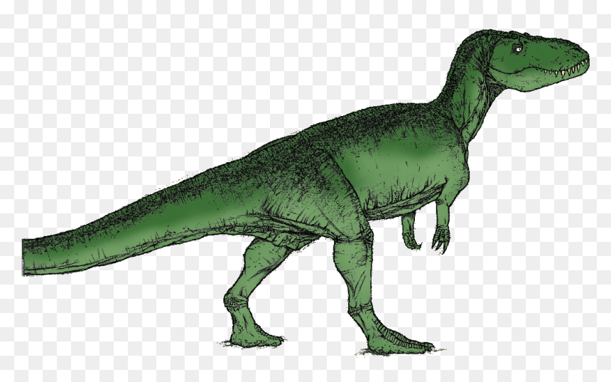 Torvoaurus - Dinosaurs Green, HD Png Download - dinosaur bones png