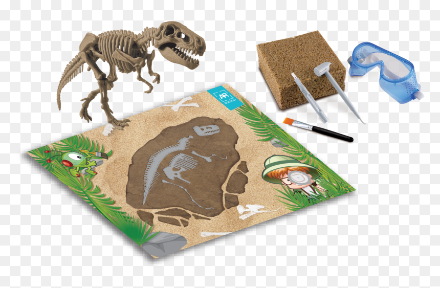 Dinosaur Bones Png, Transparent Png - dinosaur bones png