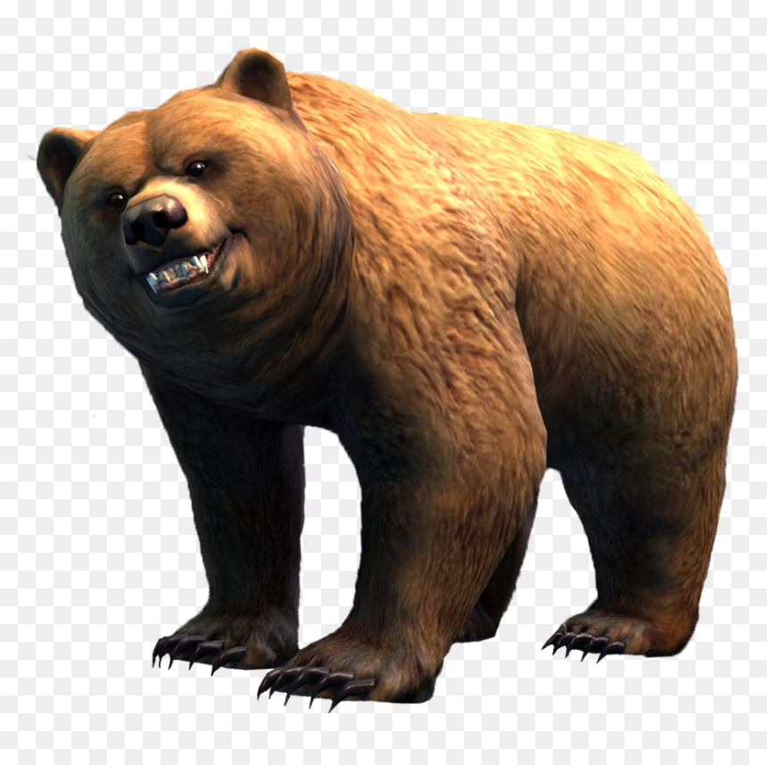 Bear - Brown Bear, HD Png Download - brown bear png