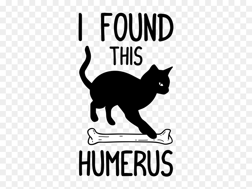 Cat Grabs Treat, HD Png Download - funny cat png