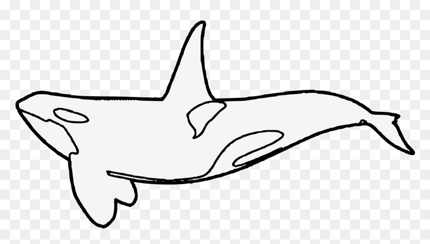 Heraldic Killer Whale, HD Png Download - killer whale png
