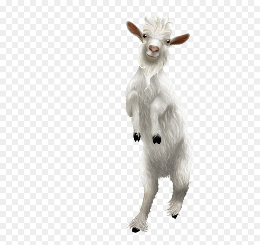 Tube Psp Noel, HD Png Download - cute animals png