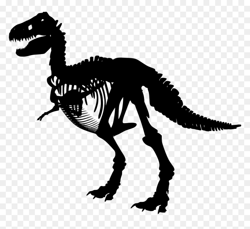 Free Image Dinosaur Bones, HD Png Download - dinosaur bones png