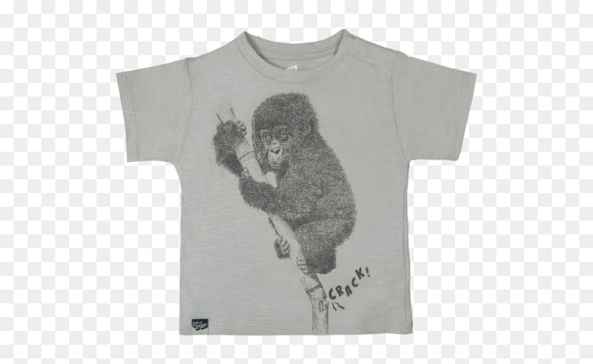 Punxsutawney Phil, HD Png Download - baby lion png